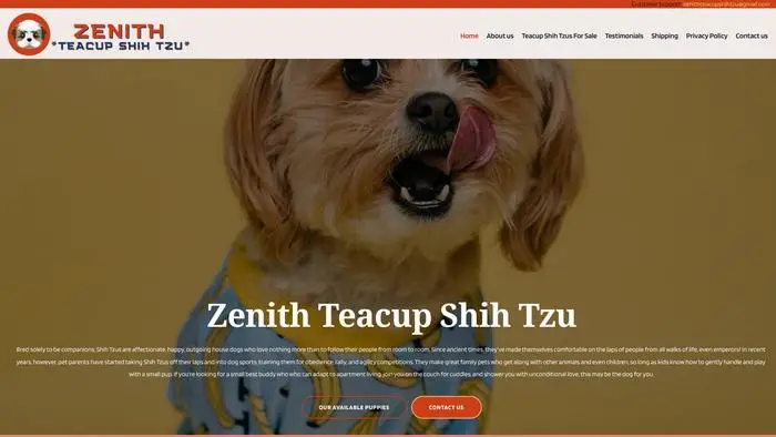 Screenshot of