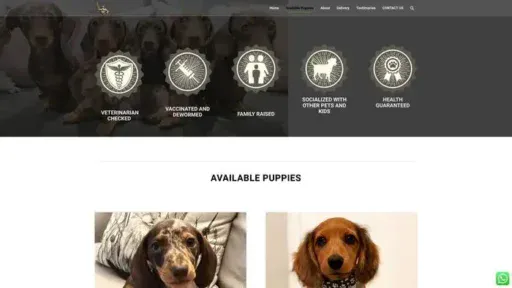 Screenshot of
