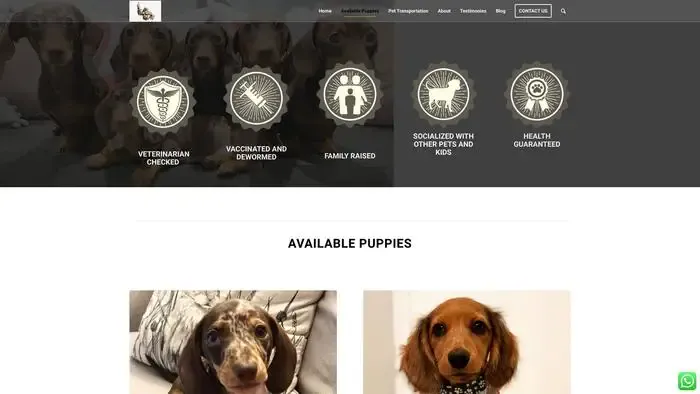 Screenshot of