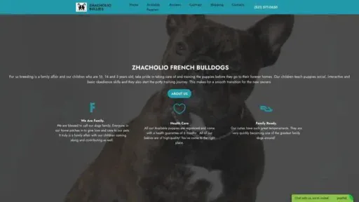 Screenshot of