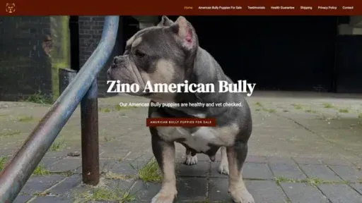 Screenshot of