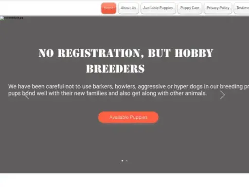 Screenshot of