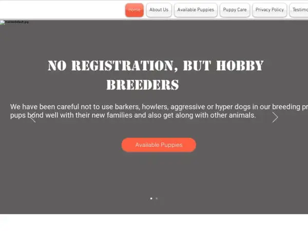 Screenshot of
