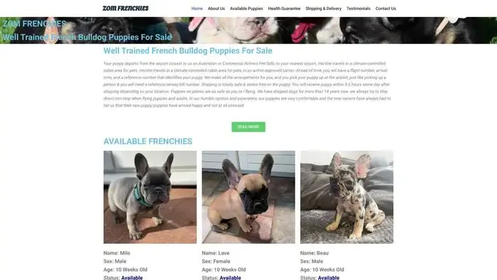 Screenshot of