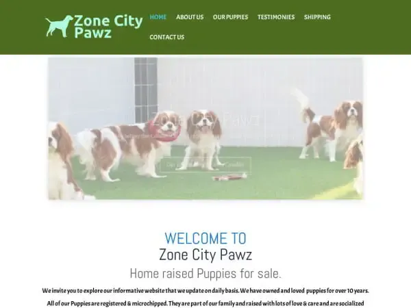 Screenshot of