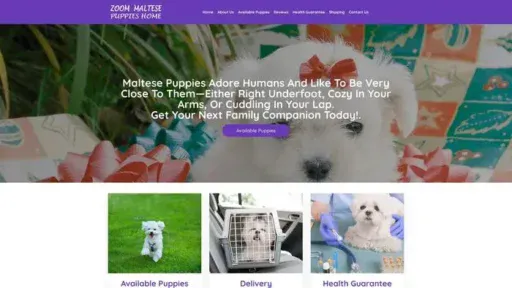 Screenshot of