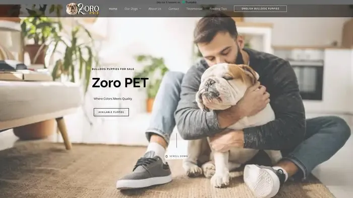 Screenshot of
