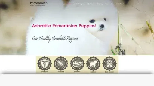 Screenshot of