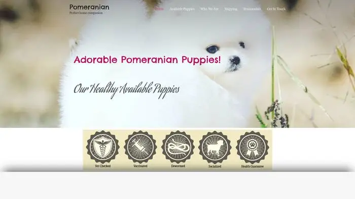 Screenshot of