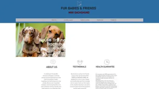 Screenshot of