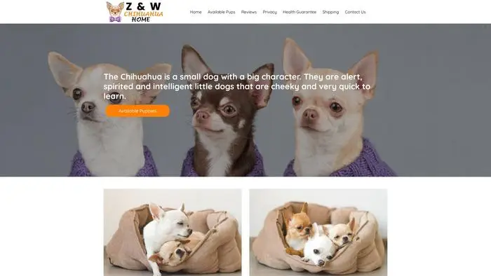 Screenshot of