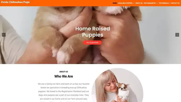 Screenshot of