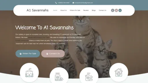 A screenshot of A1savannahs.us