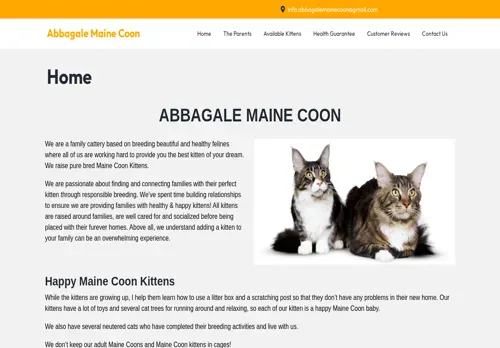 is abbagalemainecoon.com legit? screenshot