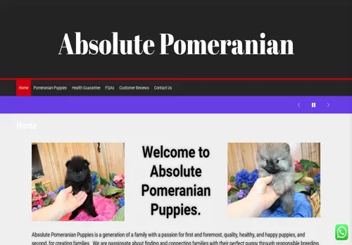 is absolute-pomeranians.co.za legit? screenshot