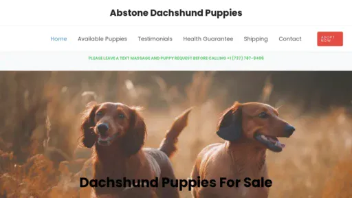 A screenshot of Abstonedachshundpuppies.com