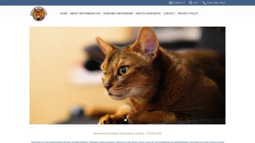 A screenshot of Abyssiniankitten.com