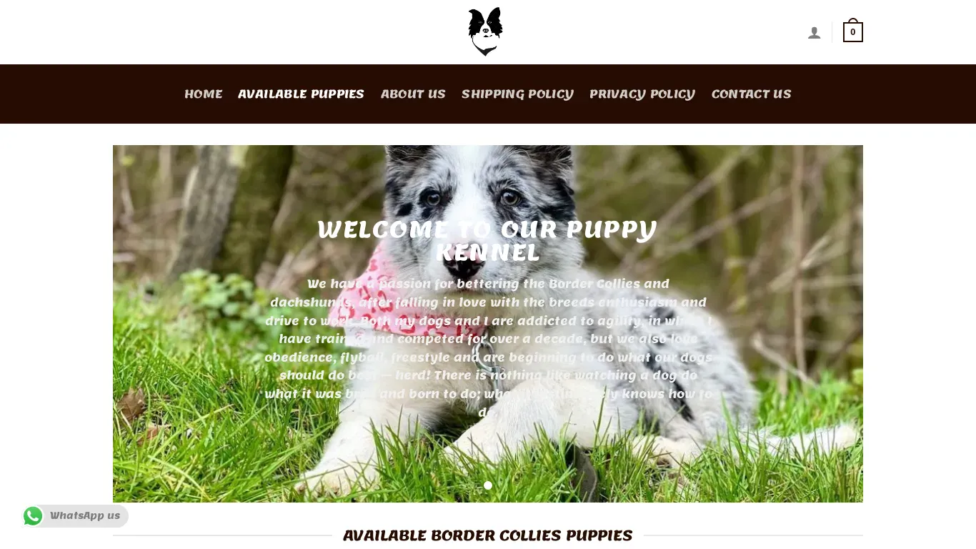 is acepuppies.com legit? screenshot