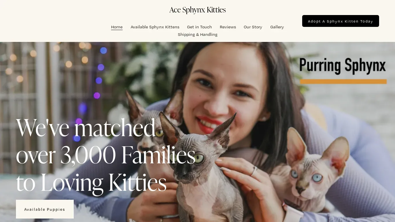 is acesphynxkitties.com legit? screenshot