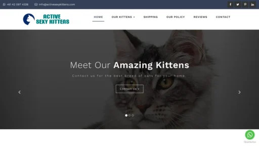 A screenshot of Activesexykittens.com