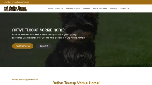 A screenshot of Activetcyorkie.com