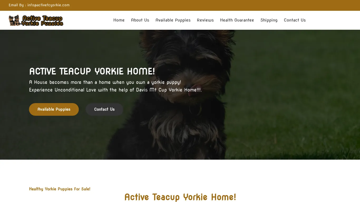 is activetcyorkie.com legit? screenshot