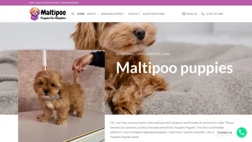 A screenshot of Adoptmaltipoopuppies.com