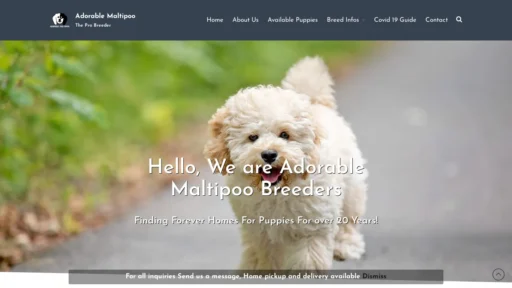 A screenshot of Adorable-maltipoo.com