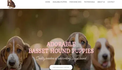 A screenshot of Genlanfamilystbernard.com
