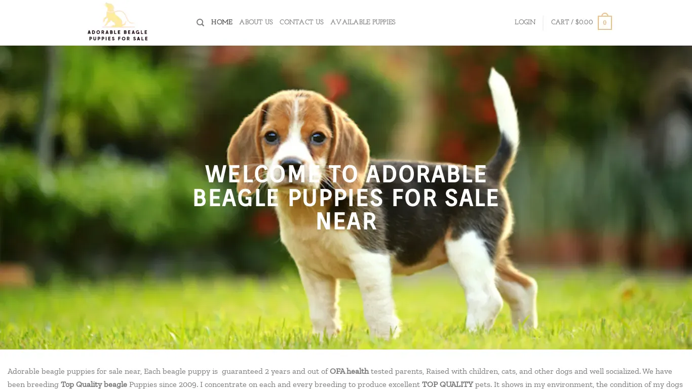 is My Blog – My WordPress Blog legit? screenshot