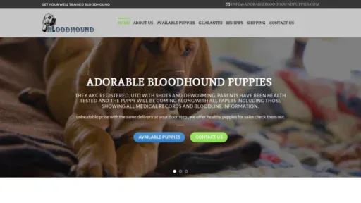 A screenshot of Adorablebloodhoundpuppies.com