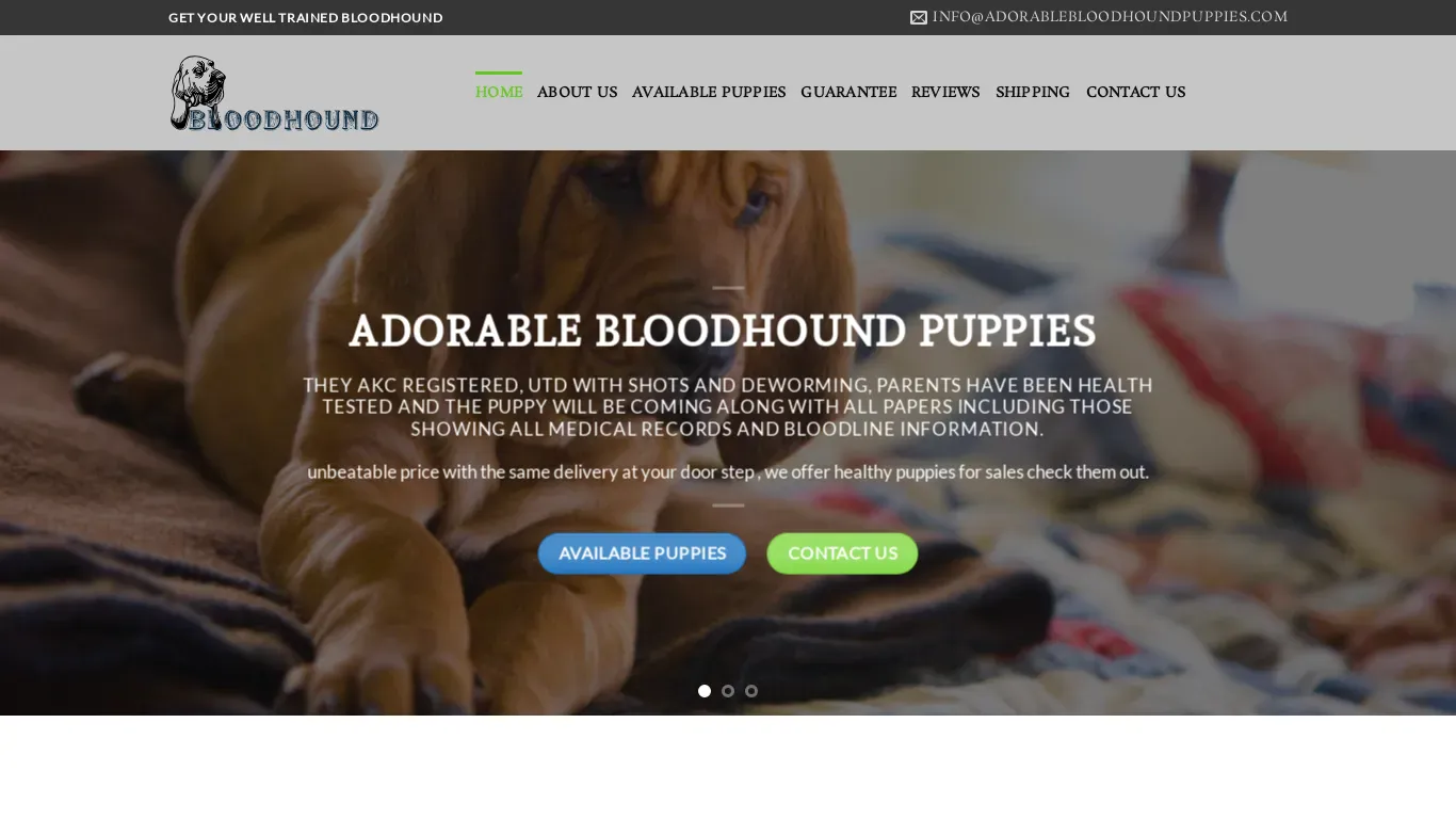 is adorablebloodhoundpuppies.com legit? screenshot