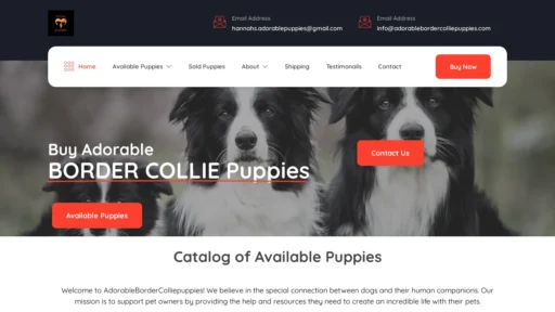 A screenshot of Adorablebordercolliepuppies.com