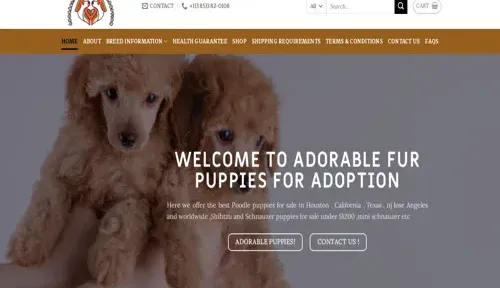 A screenshot of Genlanfamilystbernard.com