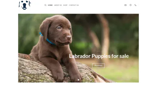 A screenshot of Adorablelabradorretrieverpuppy.com