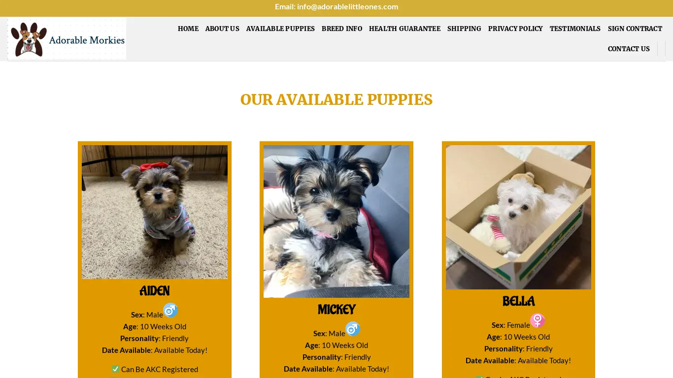 is Morkie Puppies For Sale – Morkies For Sale legit? screenshot