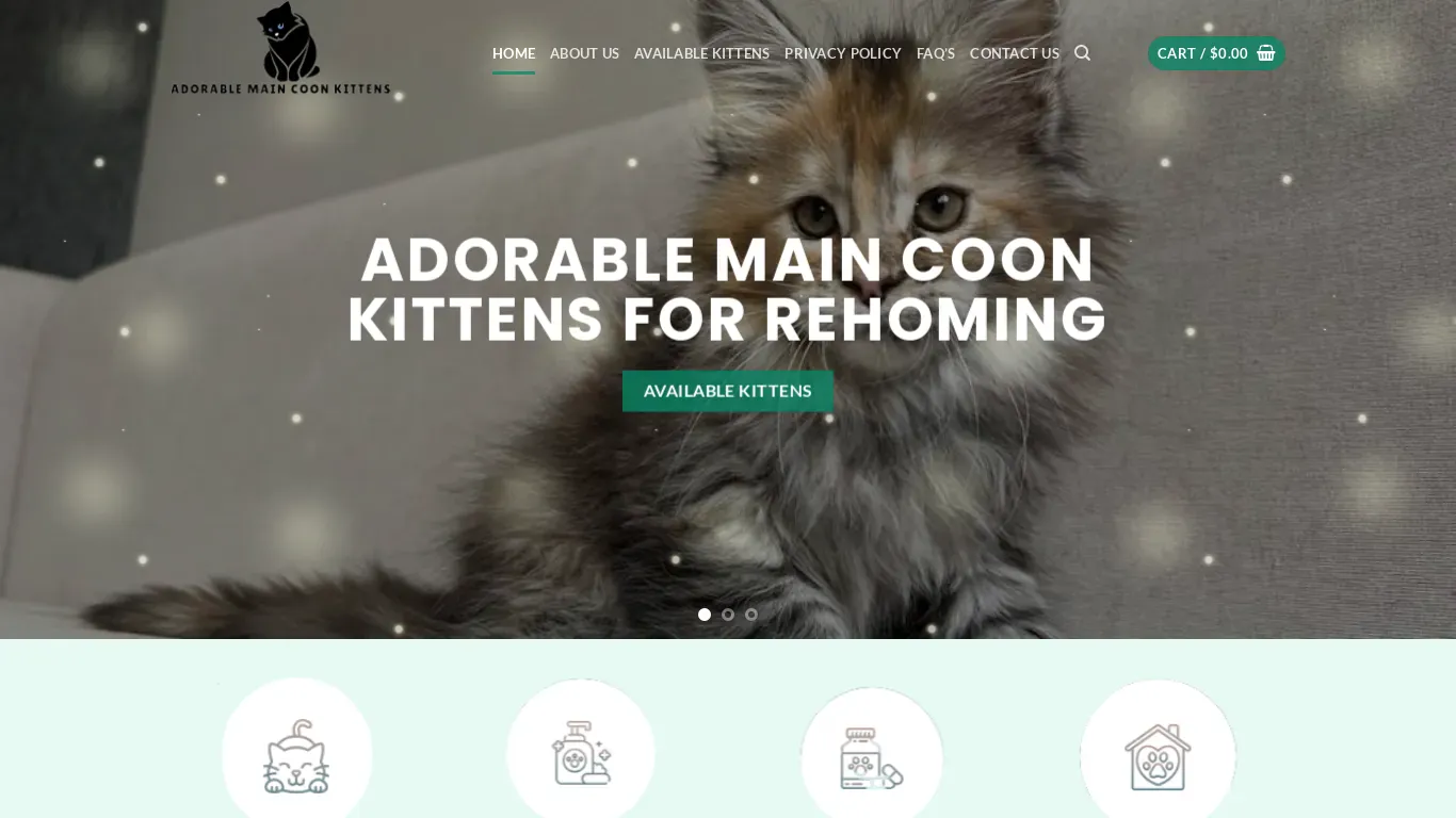 is adorablemaincoonkittensforrehoming.com legit? screenshot