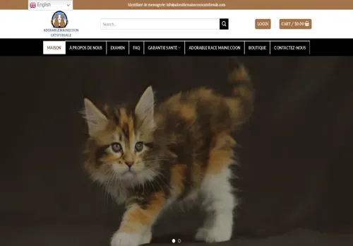 is adorablemainecooncatsforsale.com legit? screenshot