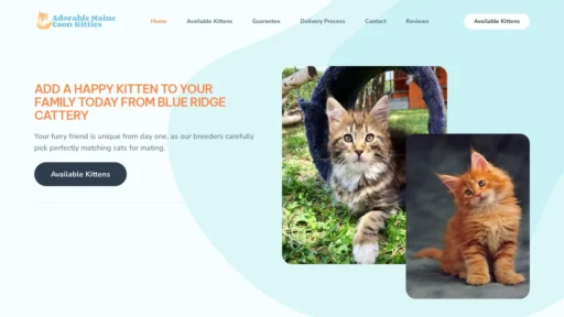 A screenshot of Adorablemainecoonkitties.com