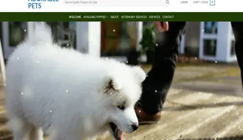 A screenshot of Genlanfamilystbernard.com