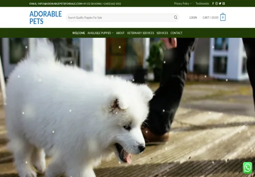 is adorablepetsforsale.com legit? screenshot