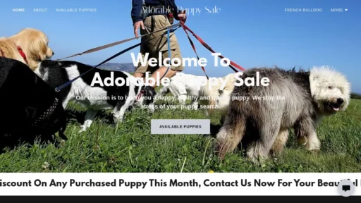 A screenshot of Adorablepuppysale.com
