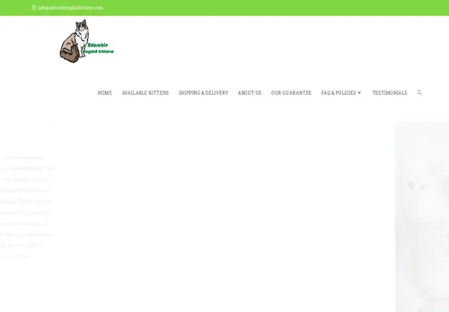 is adorableragdollkittiens.com legit? screenshot