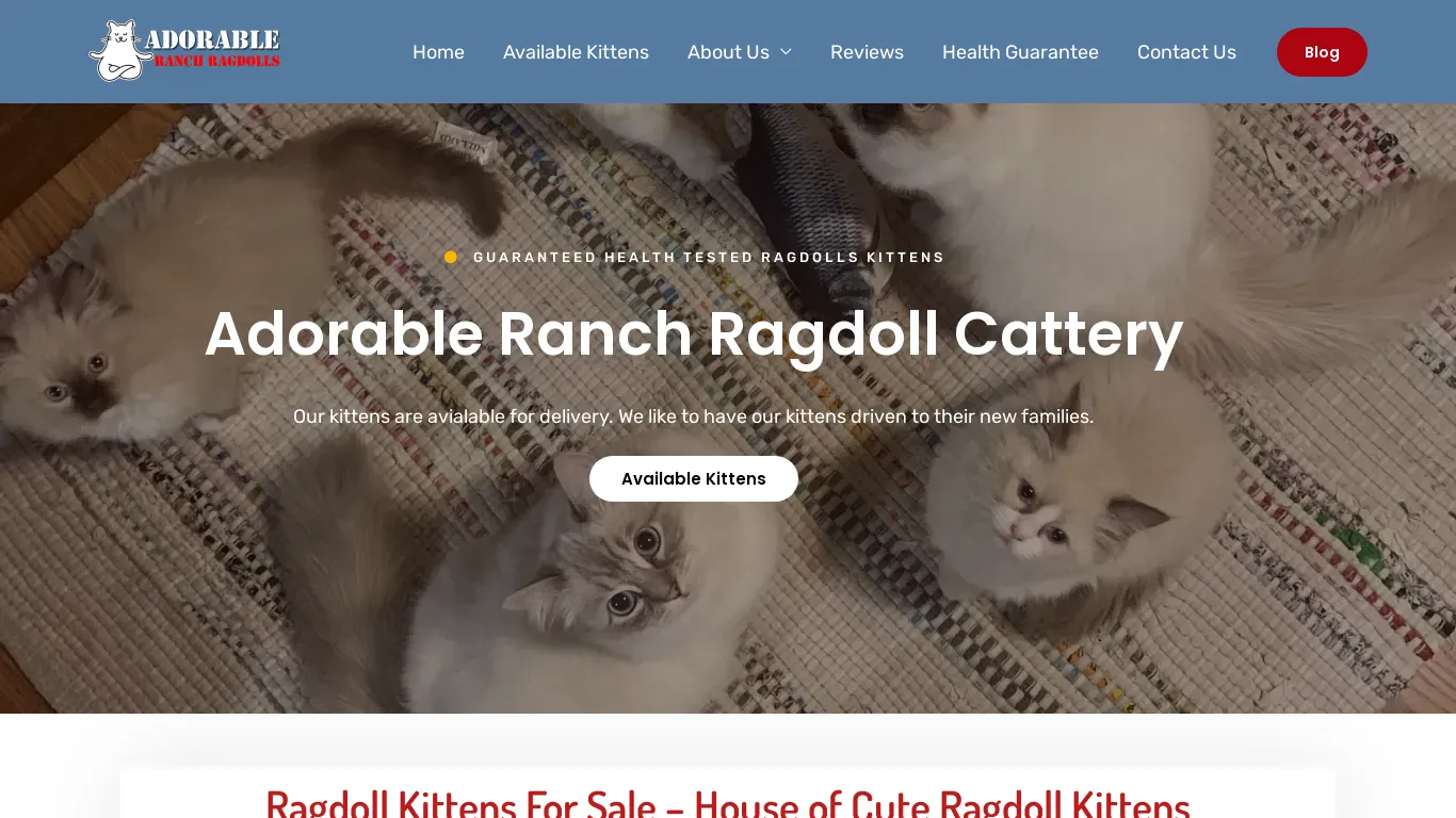 is Adorable Ranch Ragdolls legit? screenshot