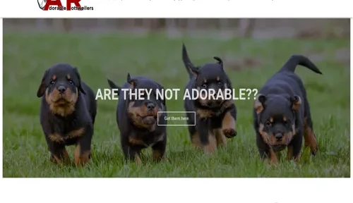 A screenshot of Genlanfamilystbernard.com