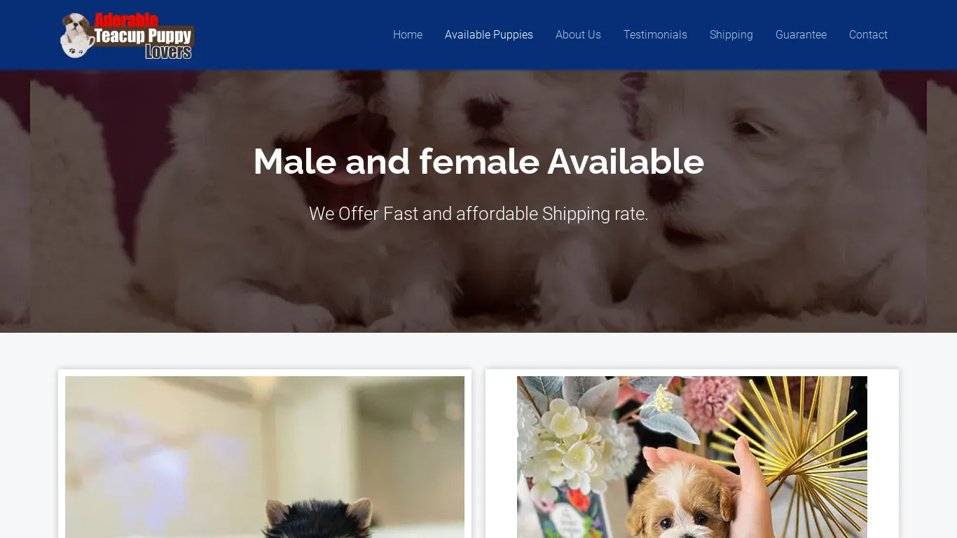 is Adorable Teacup Puppy Lovers – Contact Us Anytime To Reserve Your Perfect New Family Member. legit? screenshot