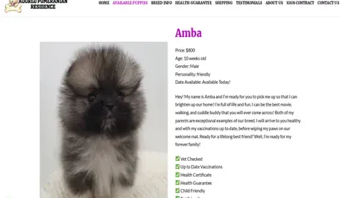 A screenshot of Genlanfamilystbernard.com