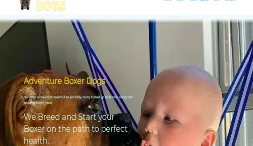 A screenshot of Genlanfamilystbernard.com