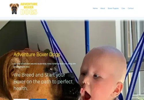 is adventureboxerdogs.com legit? screenshot
