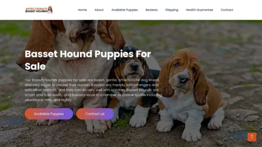 A screenshot of Affectionatebassethounds.com